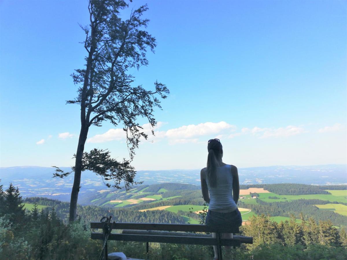 Bergchalet Am Waldrand - Pool, Sauna & Kamin Pöllauberg Εξωτερικό φωτογραφία