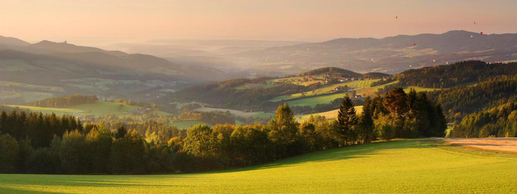 Bergchalet Am Waldrand - Pool, Sauna & Kamin Pöllauberg Εξωτερικό φωτογραφία